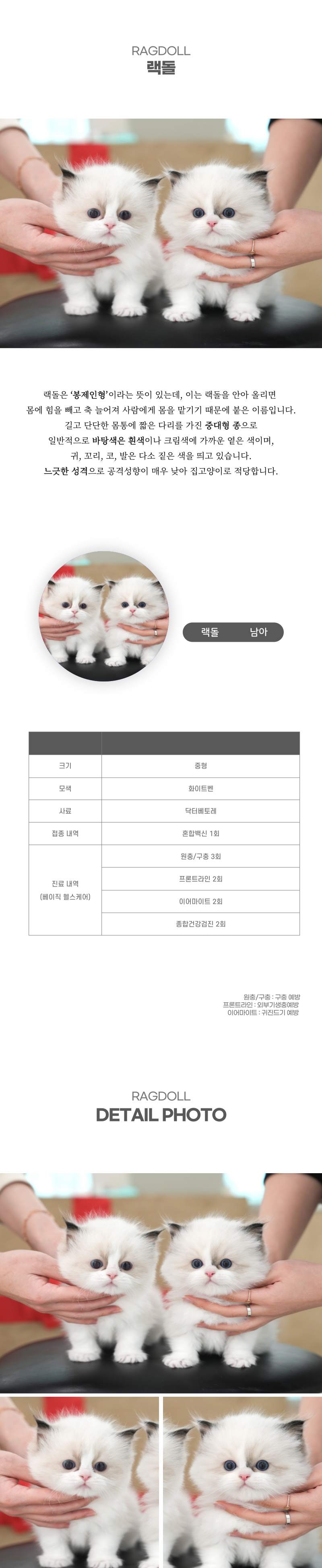 랙돌_상세이미지_2